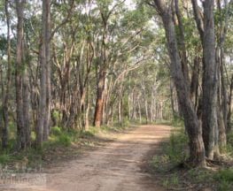 Horsnell Gully and Giles Conservation Park