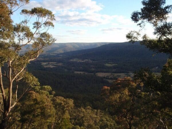 Monkey face circuit 600x450