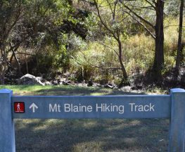 Mount Blaine Hiking Track