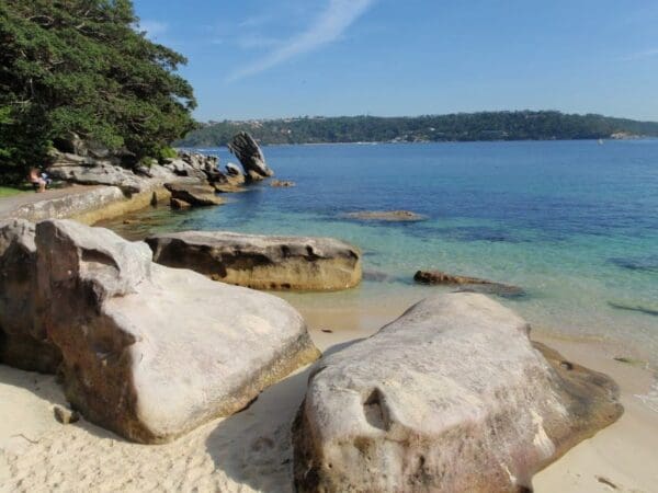 Nielsen park circuit 600x450