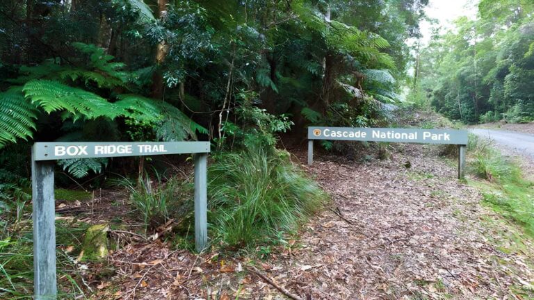 Box ridge walking track (1. 2km)