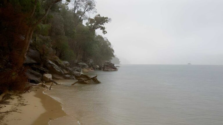 Flint & Steel Bay - White Horse Beach Walk (1.9km) Flint & steel bay - white horse beach walk (1. 9km)