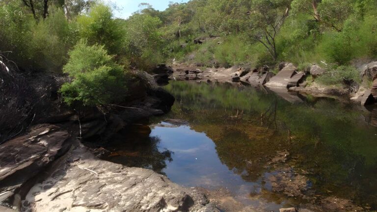 Heathcote to waterfall hike (11. 5km)