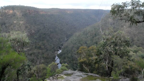 Pisgah Rock Walk (1.6km) Pisgah rock walk (1. 6km)