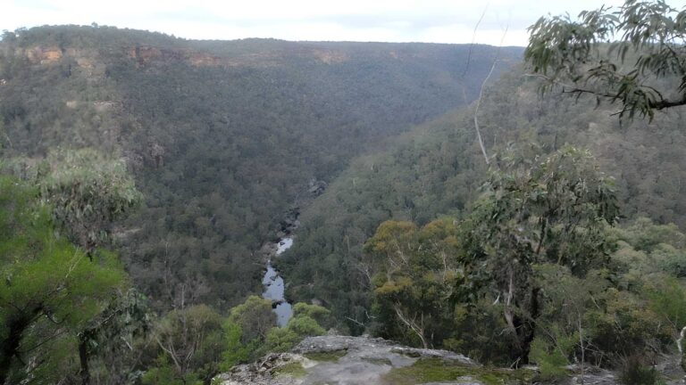 Pisgah rock walk (1. 6km)