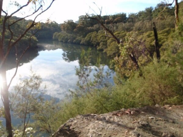 Chatswood station to mowbray park 600x450