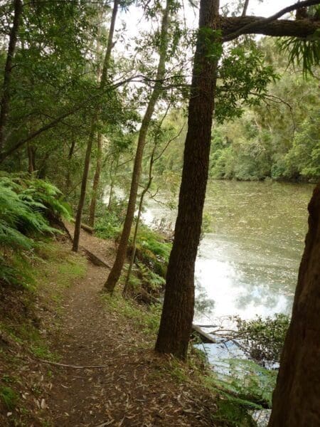 Galston gorge to berowra station 450x600