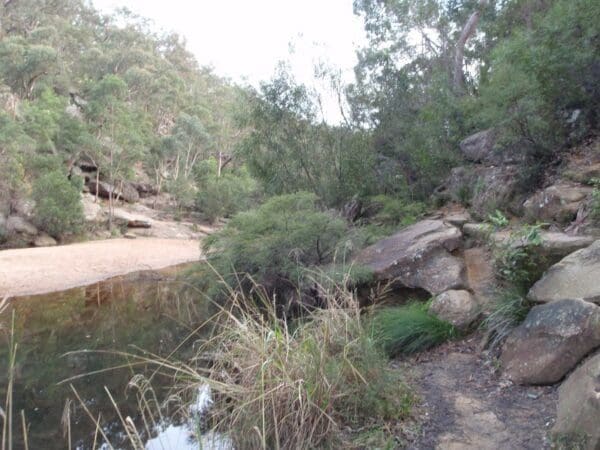 Red Hands Cave Walk (8km) Jellybean track 600x450