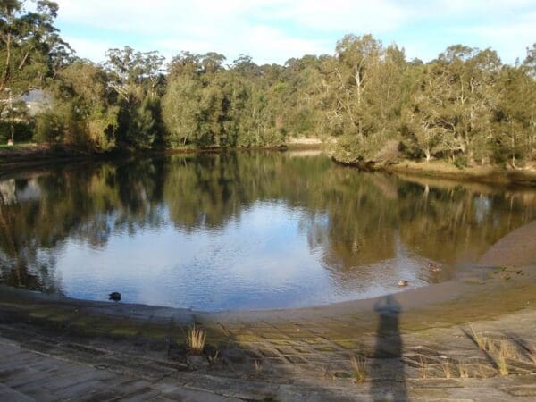 Lane cove tourist park river circuit 600x450