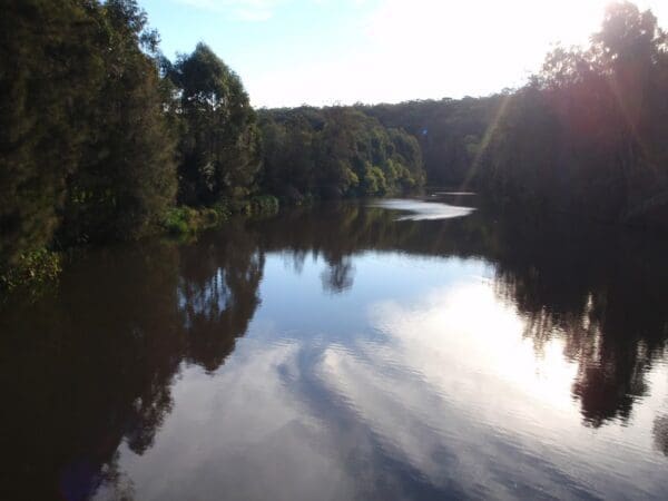 Lane cove tourist park to bakers cottage 600x450