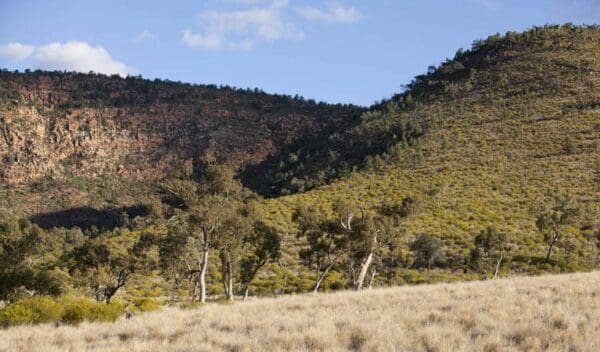 Hikes Little mountain walking track trail hiking australia 600x352