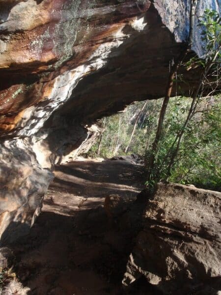 Mt kuring gai to calna creek 450x600