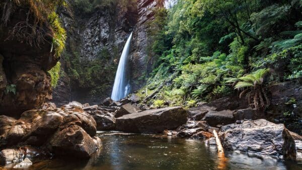 Reynolds falls 600x338
