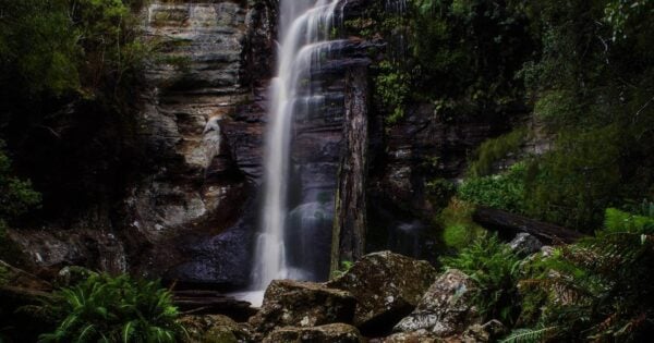 Fluted Cape Walk (6.6km) Snug falls scaled 600x315