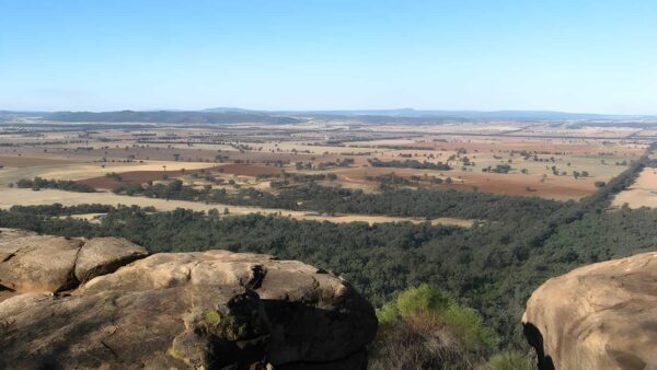 Basin Gully to Eualdrie Lookout Track (9km) Basin gully to eualdrie lookout track (9km)