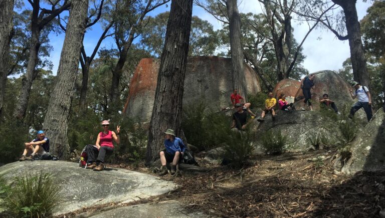 Four Brothers Rocks Hike (13km) Four brothers rocks hike (13km)