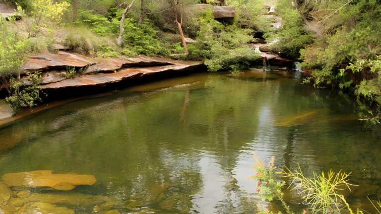 Hominy creek walking track (5km)