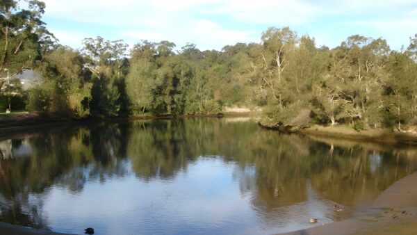 Lane cove tourist park river circuit hike (12km)