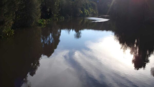 Lane cove tourist park to baker's cottage walk (5. 9km)
