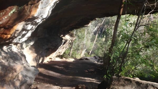 Mount kuring-gai to calna creek hike (9. 4km)