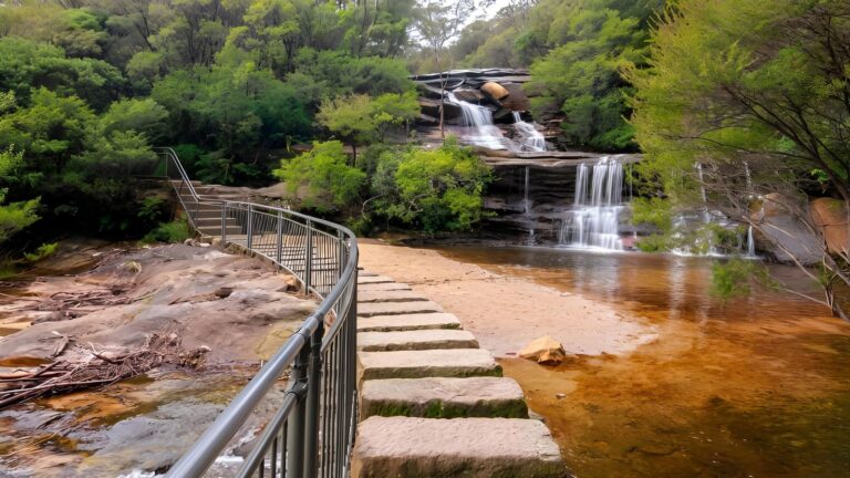 Wentworth Falls Track (1.4km) Wentworth falls track (1. 4km)