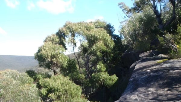 Woodford Station to Cliff Lookout Hike (8.6km) Woodford station to cliff lookout hike (8. 6km)