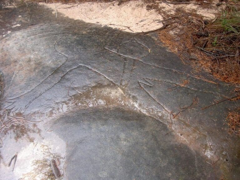 Aboriginal Heritage Track (1.1km) Aboriginal heritage track 768x576