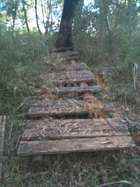 Hikes Box vale tramway trail 450x600