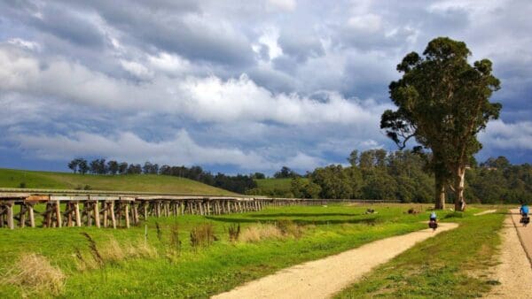 Hikes East gippsland rail trail 600x338