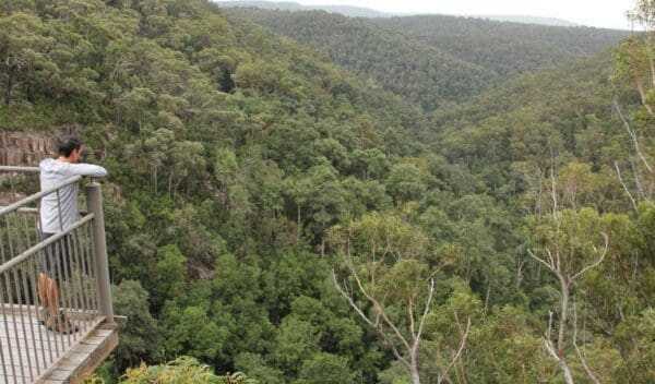 Hikes Granite falls walking track trail hiking australia 600x352