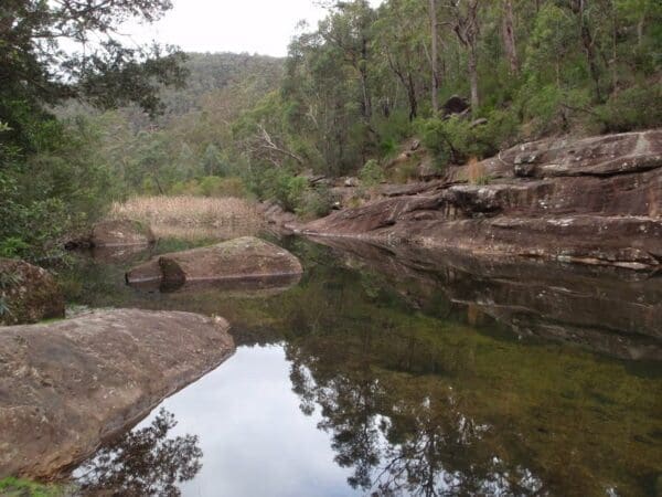 Martins lookout loop walk 600x450