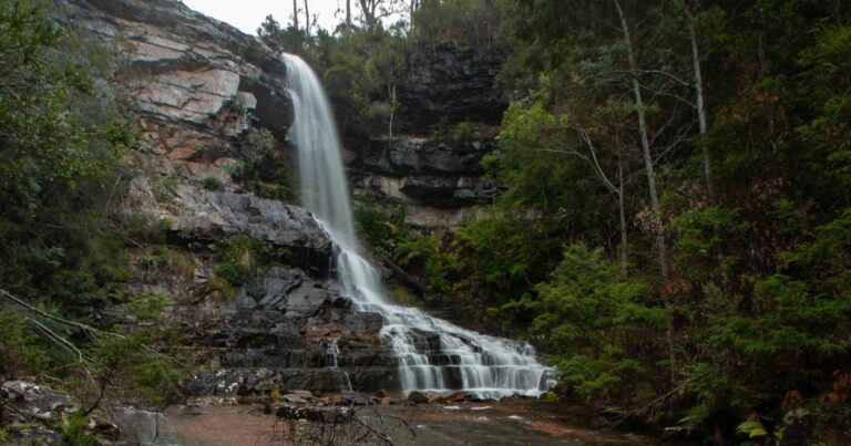 Phillips Falls Walk (200 m) Phillips falls scaled 768x403