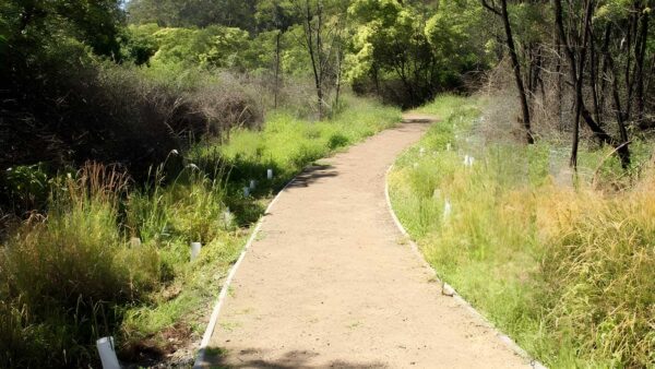 Heritage walking track (3km)