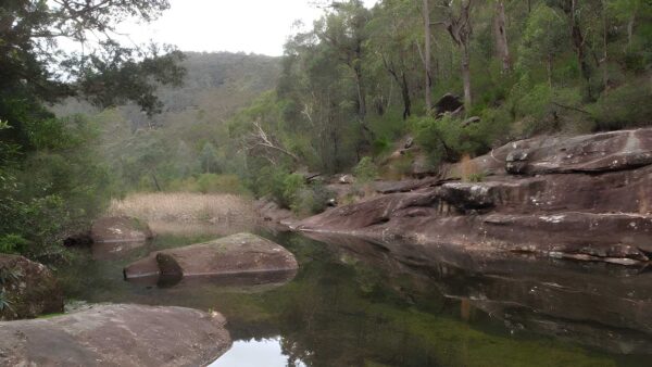 Martin's Lookout Loop Walk (13.8km) Martin's lookout loop walk (13. 8km)
