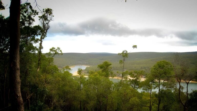 Perth hills discovery centre to golden view lookout (8km)