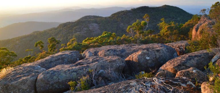 Trail hiking pine mountain and rocky knob 10km 768x325
