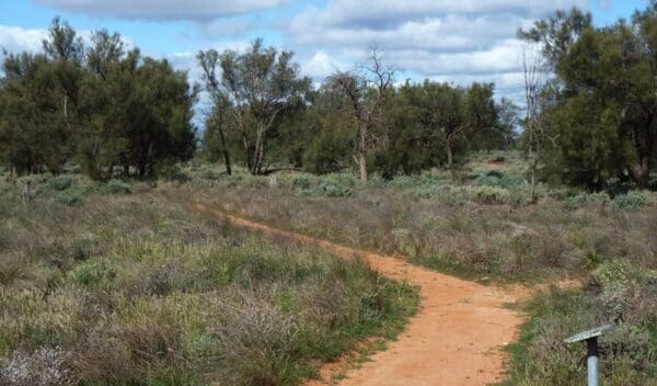 Hikes Grasslands nature trail trail hiking australia 600x352