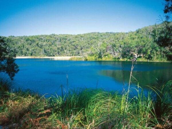 Karboora track 600x450