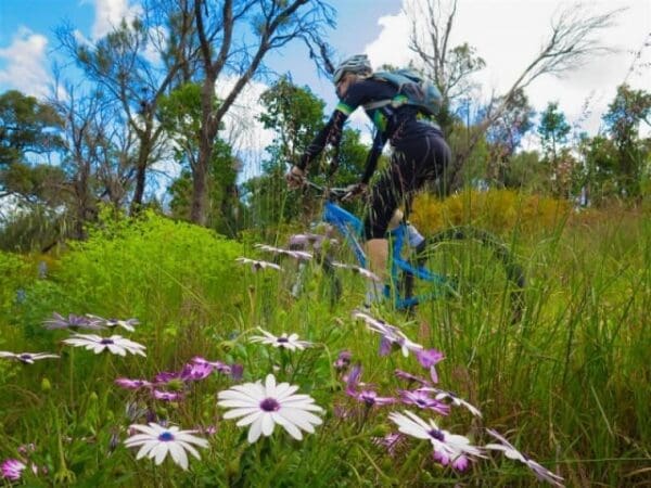 Wardan Nara Bidi Hike (10km) Kwinana loop trail 600x450