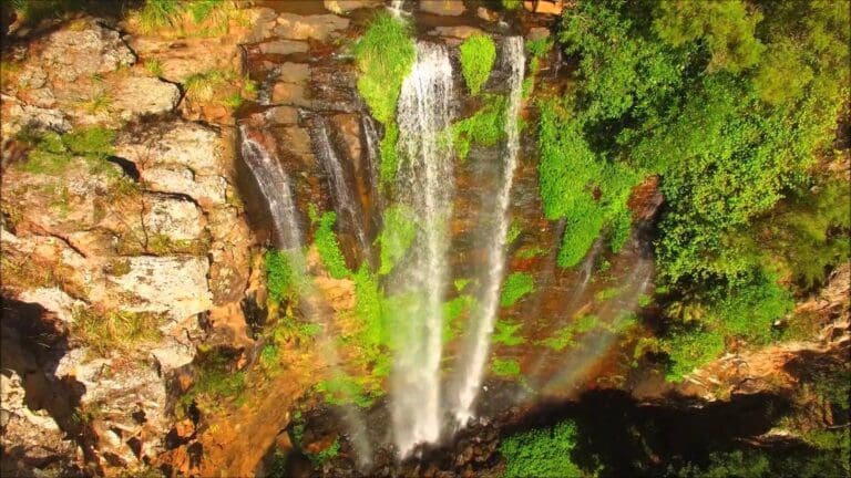 Queen Mary Falls Circuit Walk (2km) Queen mary falls circuit 768x432
