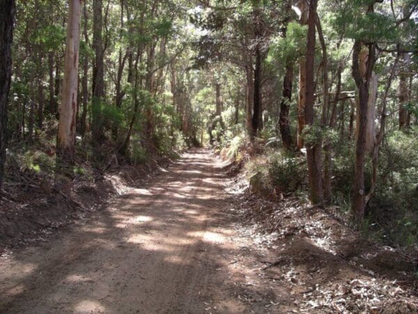 Hikes Torbay to elleker rail trail 600x450