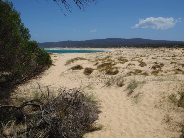 Wallagoot beach 768x576