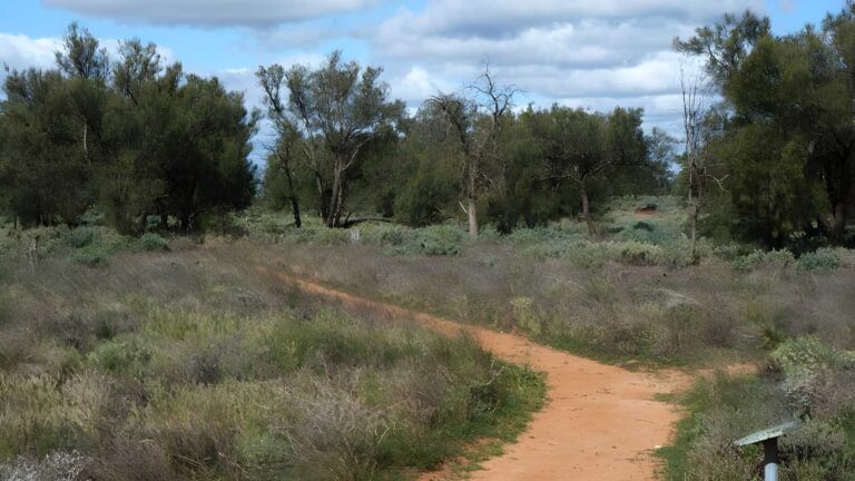 Grasslands nature trail walk (1. 2km)
