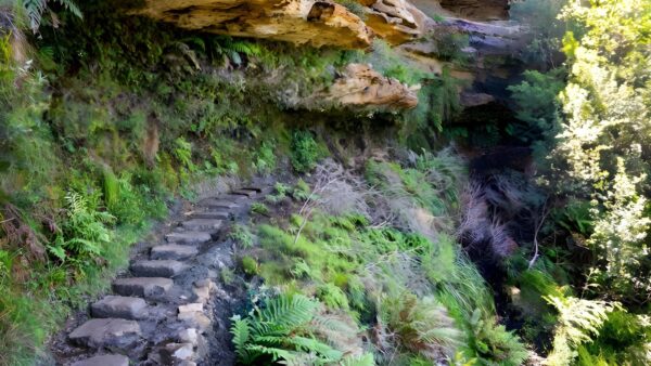 Overcliff-Undercliff Track (3.5km) Overcliff-undercliff track (3. 5km)
