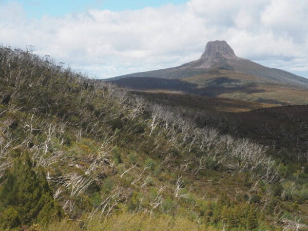 Hansons Peak - Little Horn & Lake Wilks Hike (10km) Trail hiking cradle mountain around the mountain and lake rodway scaled 600x450