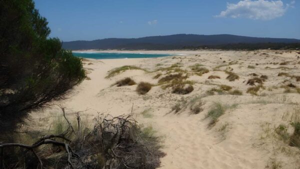 Wallagoot Beach Walk (1km) Wallagoot beach walk (1km)