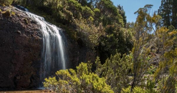 Hansons Peak - Little Horn & Lake Wilks Hike (10km) Branigan falls 600x315