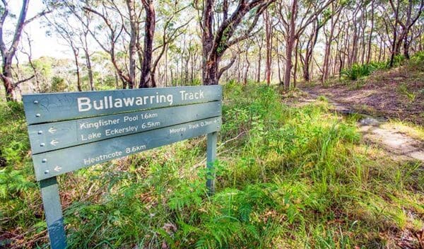 Lake Toolooma Trail Walk (5km) Bullawarring walking track trail hiking australia 600x352