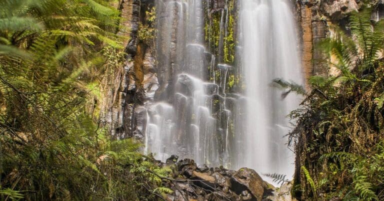 Cam falls 768x403