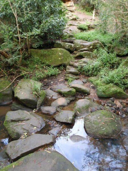 Chatswood station to eastwood station 450x600